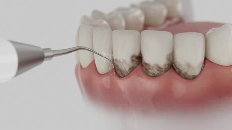 Reliable Dental contractor in Muscle Shoals, AL by Dentist Open Now